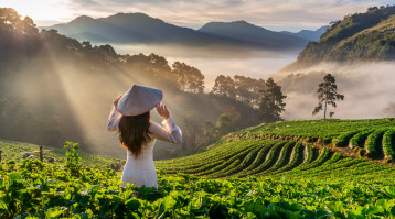 asian woman wearing vietnam culture traditional strawberry garden doi ang khang chiang mai thailand